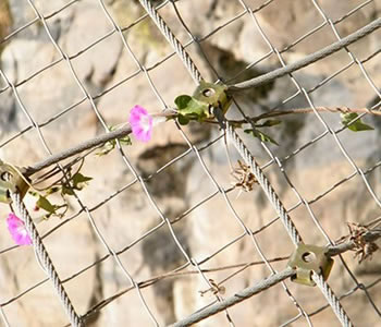 上海金屬裝飾網