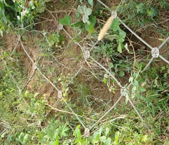 上海金屬裝飾網